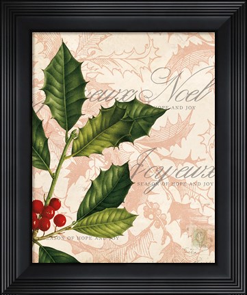 Framed Vintage Noel I Print