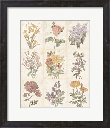 Framed Flowers of the Month 9 Patch Vintage Print