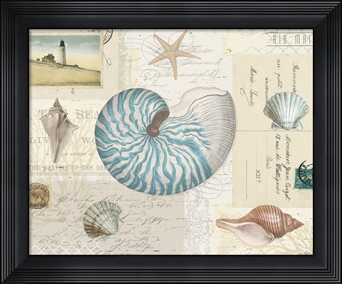 Framed Beach Wonders I No Butterflies Print