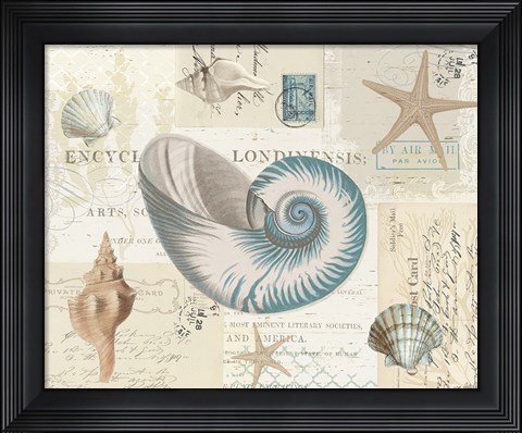 Framed Beach Wonders II No Butterflies Print