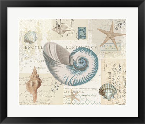 Framed Beach Wonders II No Butterflies Print