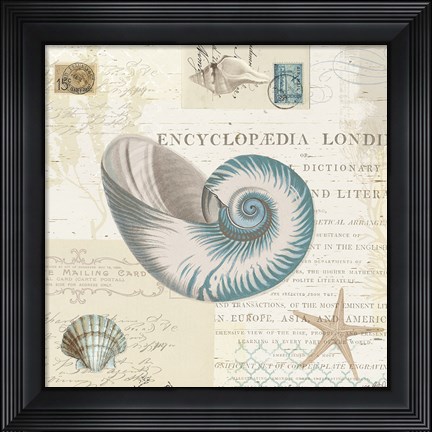 Framed Beach Wonders III No Butterflies Print