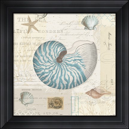 Framed Beach Wonders IV No Butterflies Print
