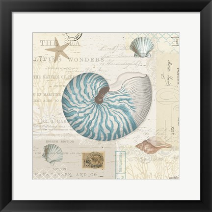 Framed Beach Wonders IV No Butterflies Print