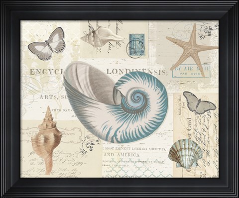 Framed Beach Wonders II Print