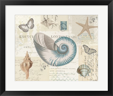 Framed Beach Wonders II Print