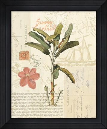 Framed Floridian III Print
