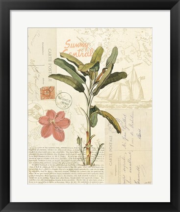 Framed Floridian III Print