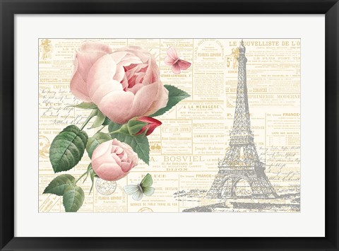 Framed Roses in Paris II Print