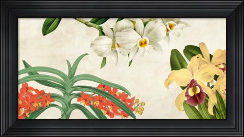 Framed Panneau Botanique III Print
