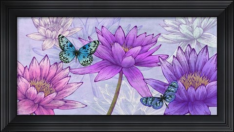 Framed Nympheas and Butterflies Print