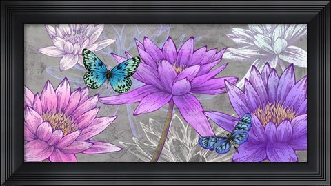 Framed Nympheas and Butterflies (Ash) Print