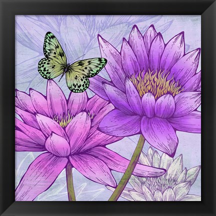 Framed Nympheas and Butterflies (detail) Print