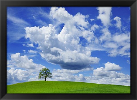 Framed Oak and clouds, Bavaria, Germany Print