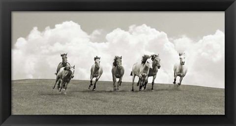 Framed Herd of Wild Horses (BW) Print