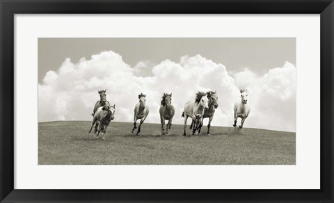 Framed Herd of Wild Horses (BW) Print