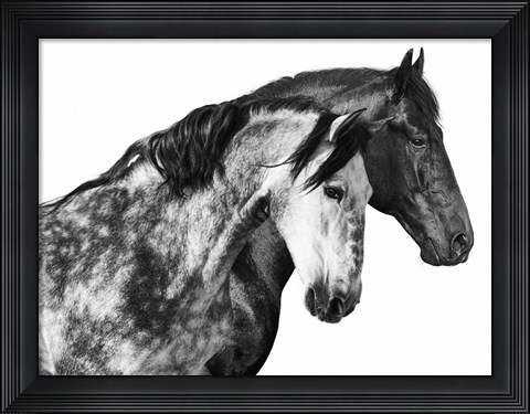 Framed Together Print