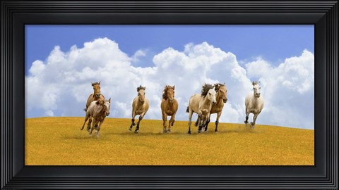 Framed Herd of Wild Horses Print