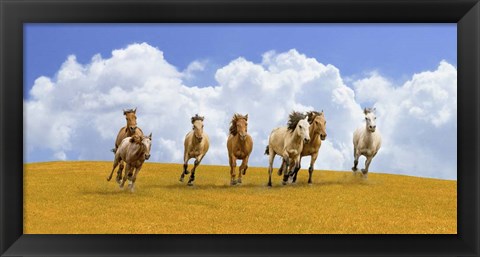 Framed Herd of Wild Horses Print