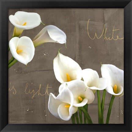 Framed White Callas Print