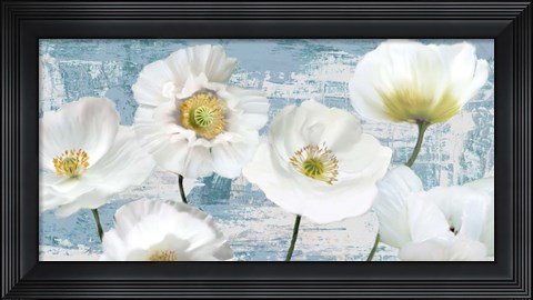 Framed Washed Poppies (Aqua) Print