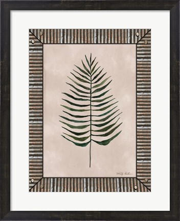 Framed Areca Leaf Galvanized Print