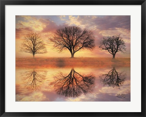 Framed Trio of Trees Print