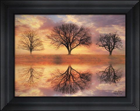Framed Trio of Trees Print