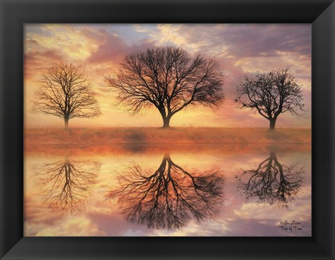 Framed Trio of Trees Print