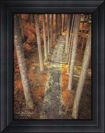 Framed Magical Flight Print