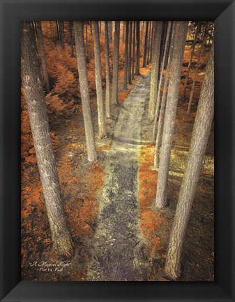 Framed Magical Flight Print