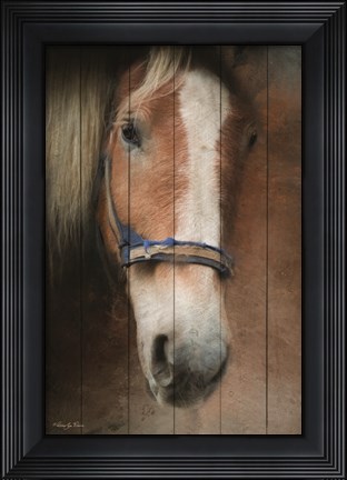 Framed Blaze Print