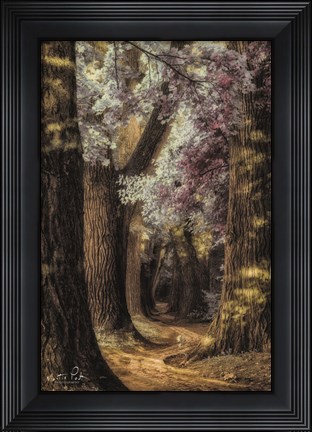 Framed Fluffy Road Print