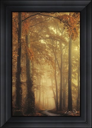 Framed Path of Liberation Print