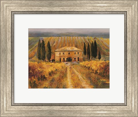 Framed Toscana Vigna Special Print