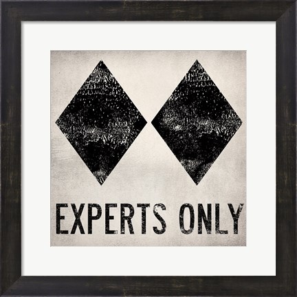Framed Experts Only White Print