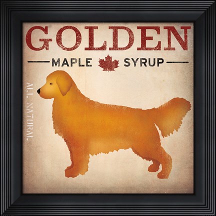 Framed Golden Dog at Show No VT Print