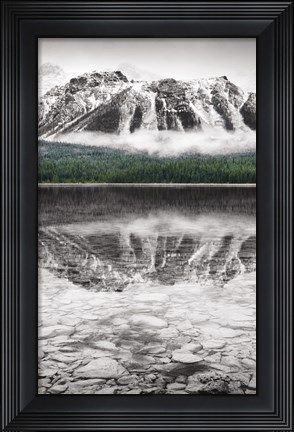 Framed Waterfowl Lake Panel II BW with Color Print