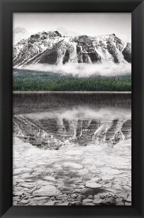 Framed Waterfowl Lake Panel II BW with Color Print