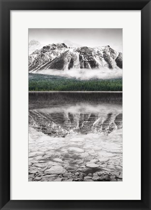 Framed Waterfowl Lake Panel II BW with Color Print