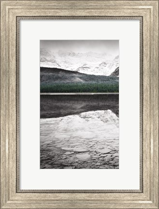 Framed Waterfowl Lake Panel I BW with Color Print