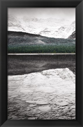 Framed Waterfowl Lake Panel I BW with Color Print