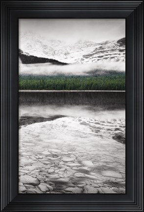 Framed Waterfowl Lake Panel III BW with Color Print