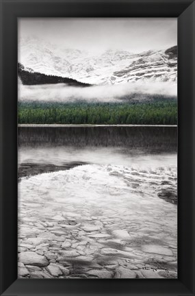 Framed Waterfowl Lake Panel III BW with Color Print