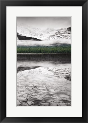 Framed Waterfowl Lake Panel III BW with Color Print