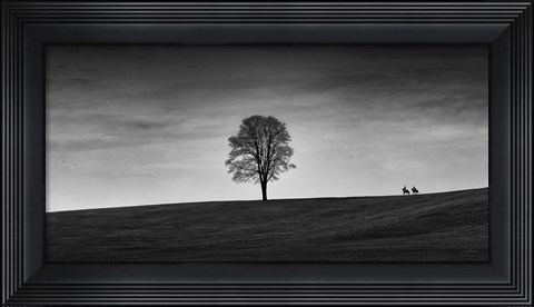Framed In the Distance Print
