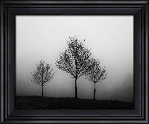 Framed In the Fog Crop Print