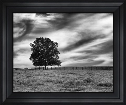 Framed Majestic Crop Print
