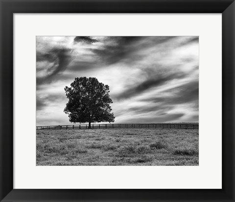 Framed Majestic Crop Print