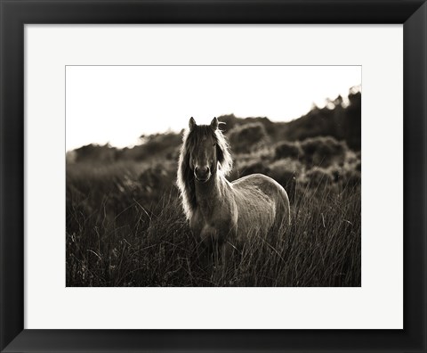 Framed Evening Glow Crop Print